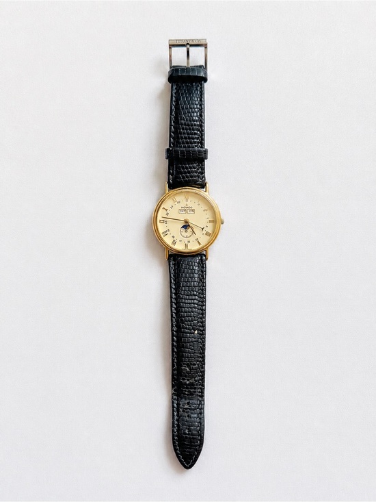 Movado Other - Movado - Vintage Dial Watch with Tiffany & Co Strap and Original Band and Box